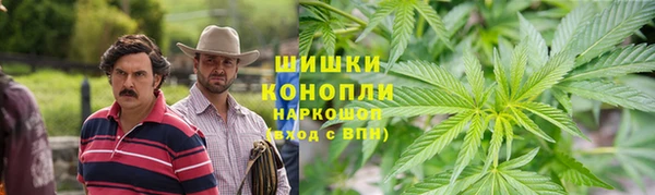 прущие грибы Алексин