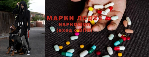 spice Алзамай