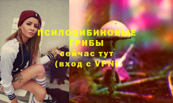 прущие грибы Алексин