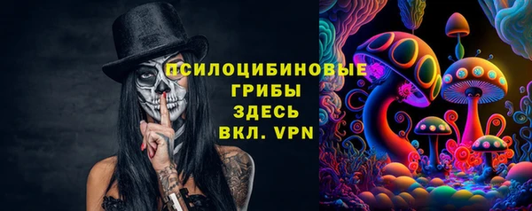 2c-b Михайловск