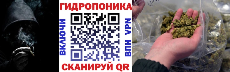 Купить закладки  Волхов  Канабис конопля 